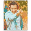 Diamantové maľovanie - Harry Styles 03 - 40x50 cm, bez dřevěného rámu - výroba CZ