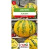 Seva Tekvica olejná - Junona, 10 semien - na semiačka