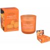 Bartek Candles Pumpkin Spice Semi Dry 150g