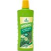Forestina KAPKA Palmy, juky, draceny 500 ml
