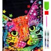 RealG RC-K-100 Diamantová maľba 5D, 30 × 40 cm, Farebná mačka