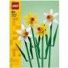 LEGO Iconic 6476650 Narcisy