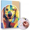 Maľovanie podľa čísel GOLDEN RETRIEVER – nízka náročnosť (Sada na maľovanie podľa čísel ARTMIE)