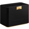 SONGMICS Úložný box na hodinky Leslie III čierny