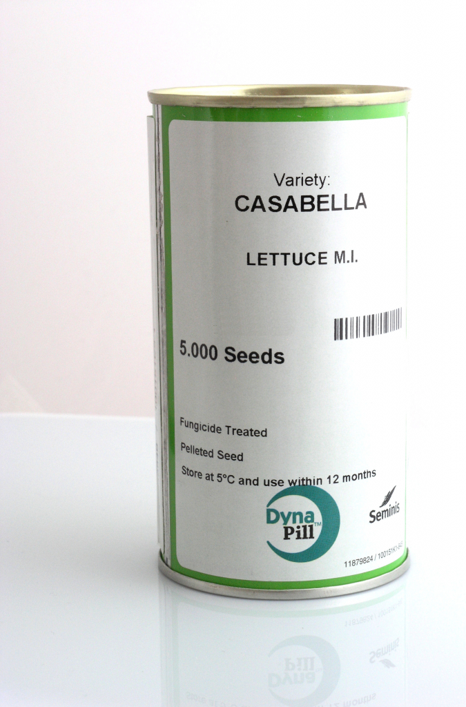 Šalát lollo bionda typ Casabella 5000 semien od 33,39 € - Heureka.sk