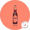 Loklok Kombucha Malina 330 ml