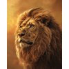 ZUTY Obrazy na stenu - PORTRÉT LEV Rámovanie: vypnuté plátno na rám, Rozmer: 40x50 cm