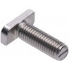 T-skrutka M10 x 30 mm, nerez A2