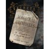 Secrets of the Magickal Grimoires
