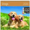 Dogs nástěnný 2026