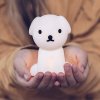 Mr. Maria Lampa mini Snuffy