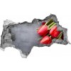 Samolepiaca diera na stenu Červené tulipány 95x73 cm