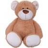 Plush Friends medveď 100cm plyšový