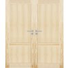 ArchoD - Dvojkrídlové drevené dvere dyhované z borovice Akron