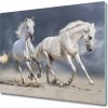 Sklenená doska na krájanie Pláž biele kone 60x52 cm