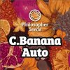 Philosopher Seeds - C Banana Auto 3 ks - Semená neobsahujú THC