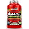 AMIX Amino Hydro 32 250 tabliet