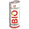 Hollinger Nápoj energetický BIO 250 ml