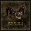 Jethro Tull - Curious Ruminant / Digipack [CD]