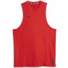 Puma Dres Hoops Team Drycell Slvs Top 676642-04