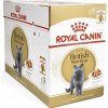 Royal Canin vlhké krmivo pre mačky British Shorthair 12x85g