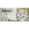 Globálny Fallout 4 Steam
