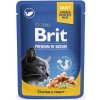 Kapsička pre mačky Brit Premium Salmon & Trout Gravy 100 g