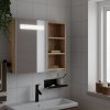 vidaXL Zrkadlová skrinka do kúpeľne s LED svetlom dubová 60x13x52 cm 357972