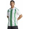 adidas Striped 24 JSY IW2146 190860