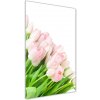 Vertikálny foto obraz sklenený Ružové tulipány 50x100 cm