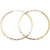 Beneto Módne pozlátené kruhové náušnice zo striebra AGUC2439 / SCS-GOLD 3 cm