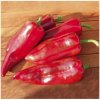 Bio Paprika Atris F1 - Capsicum annuum - predaj bio semien - 5 ks