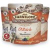 Carnilove Dog Pouch Paté Ostrich with Blackberries 300 g