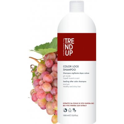 Trend up Color Lock Šampon pro barvené vlasy antioxidační s kyselým pH 1000 ml