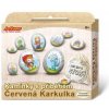 SMT Creatoys Malování na oblázky/kameny s příběhem Červená Karkulka kreativní sada v krabičce 19x16x4cm
