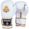 Boxerské rukavice DBX BUSHIDO DBD-B-2 14 z.