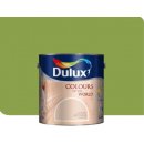 Dulux CoW divoké liány 5 L