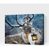 Vymalujsisam.sk Maľovanie podľa čísiel - Jeleň s lampášom Veľkosť: 40x50cm, Rám: Na kartónovej doske
