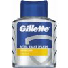 GILLETTE Energizing Citrus Fizz 100 ml