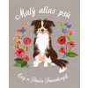 Malý atlas psů - Pawlak Pawel Pawlaková Ewa