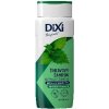 Dixi Šampón žihľavový proti vypadávaniu vlasov 400ml