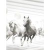 Fototapeta - PL1044 - Biele kone abstrakcia Vlies 110gr - 175cm x 250cm