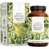 Naturtreu Metabolizmus – Komplex zeleného čaje, L-karnitinu a cholinu pro trávení a krevní cukr, 120 kapslí