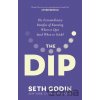 The Dip - Seth Godin