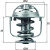 Termostat chladenia MAHLE TX 165 88D