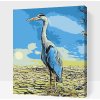 Vymalujsisam.sk Maľovanie podľa čísiel - Volavka Veľkosť: 30x40cm, Rám: Bez rámu, iba zrolované plátno
