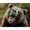 Zuty – Maľovanie Podľa Čísel – Medveď S Otvorenou Tlamou (D. Rusty Rust), 40 × 50 cm, Plátno 8596530162728