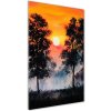 Vertikálny foto obraz akrylový Západ slnka les 50x100 cm