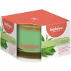 Bolsius AROMATIC GREEN TEA 80 x 50 mm