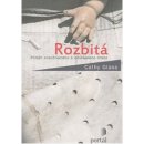 Rozbitá, Příběh zneužívaného a odvrženého dítěte - Cathy Glass